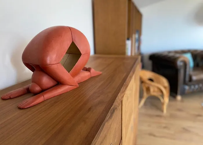 Rooftop En Centre Appartement