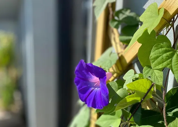 Appartement Rooftop En Centre