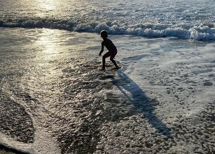 Appartement Rooftop En Centre Bayonne