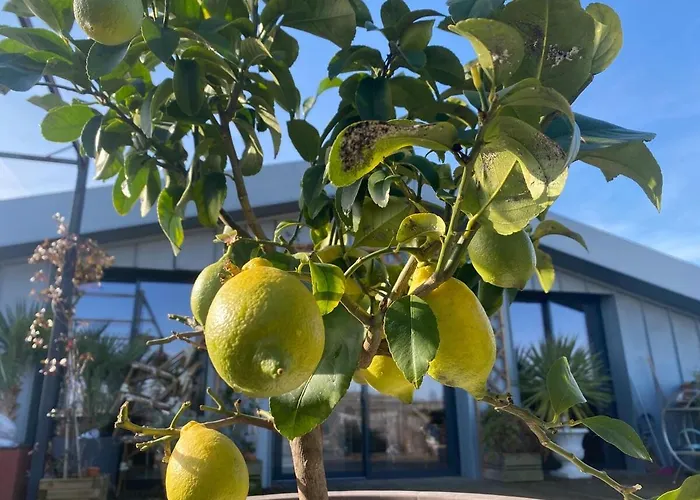 Appartement Rooftop En Centre Bayonne